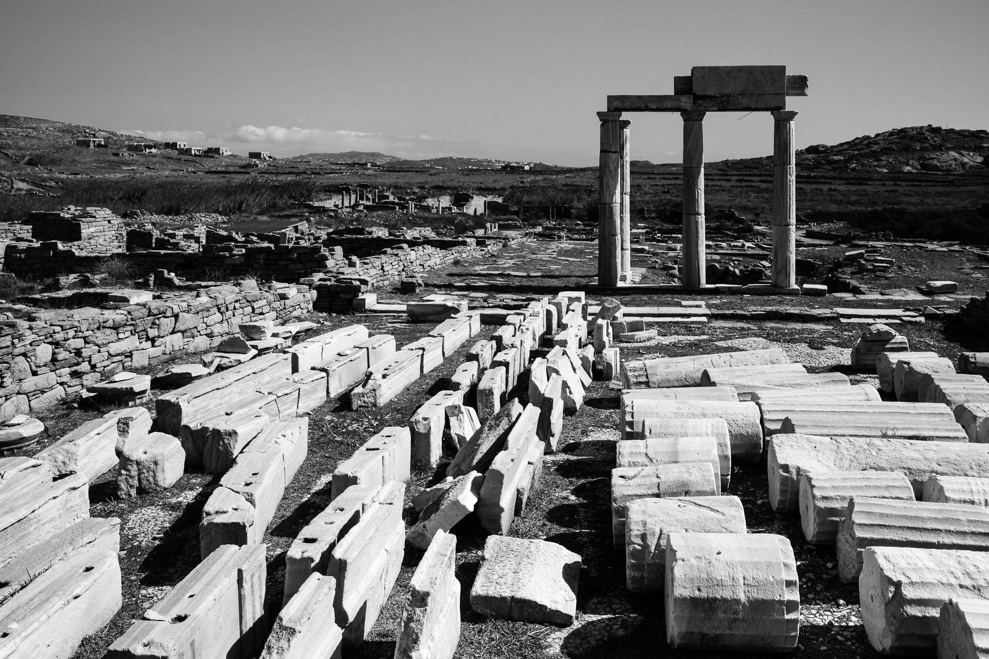 D5600_20191014_1521-1980px.jpg